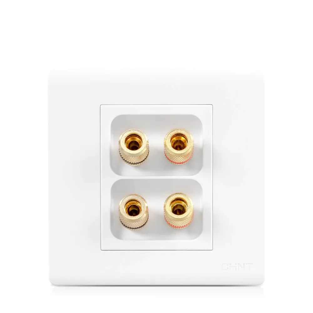 AV 4 Binding Post Surround Home Theater Speaker Wall Faceplate-White Ukitson