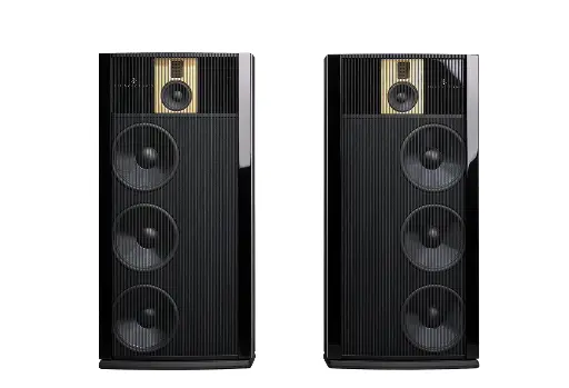 Steinway Lyngdorf Model B Custom RAL / Gold/Ch
Ring full range loudspeaker is designed for creating the holographic stereo reproduction of the Steinway & Sons Model D speakers through use of the dipole speaker concept 